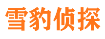 吴川市场调查